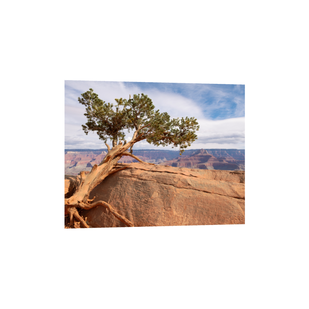 ptq_1_6_550_0_6880_5504_0_false_ffffff_0_0_.png