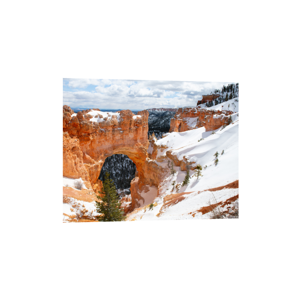 ptq_1_6_1128_0_6880_5504_0_false_ffffff_0_0_.png