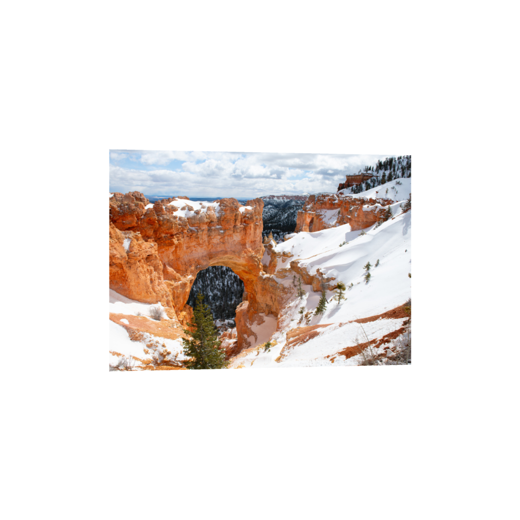 ptq_1_7_577_0_7705_5504_0_false_ffffff_0_0_.png