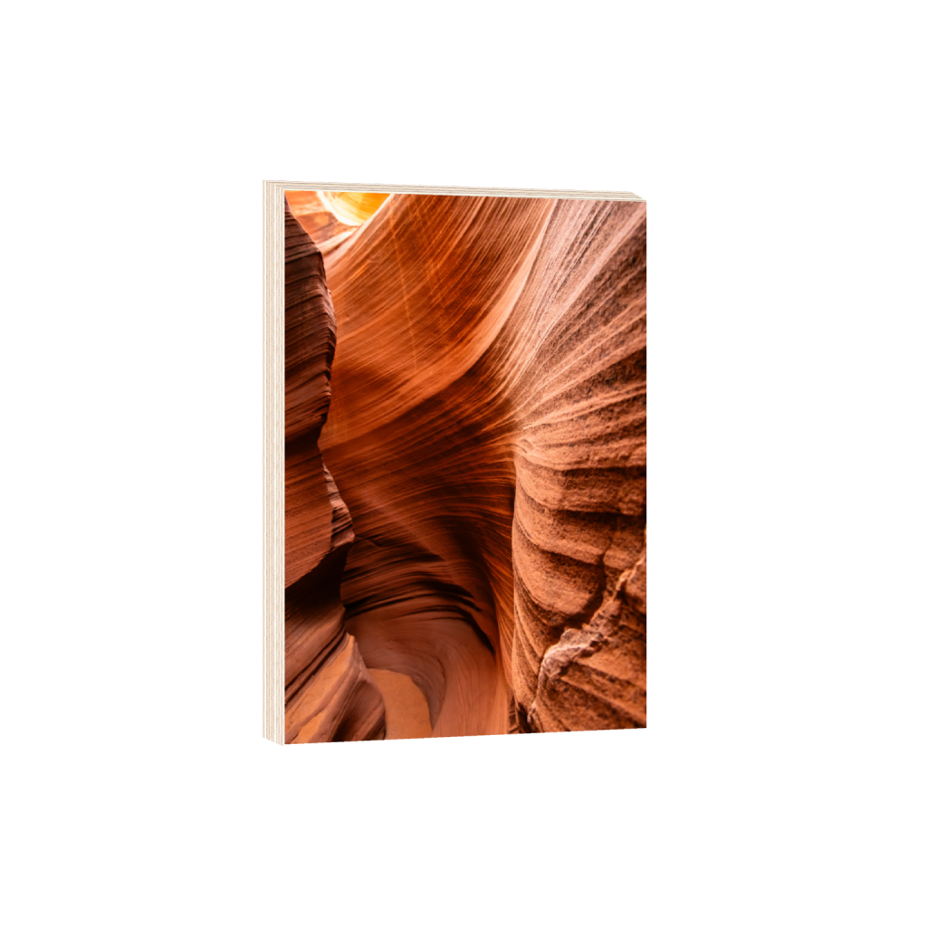 ptq_29_3_0_0_5504_8256_0_false_ffffff_0_0_.png