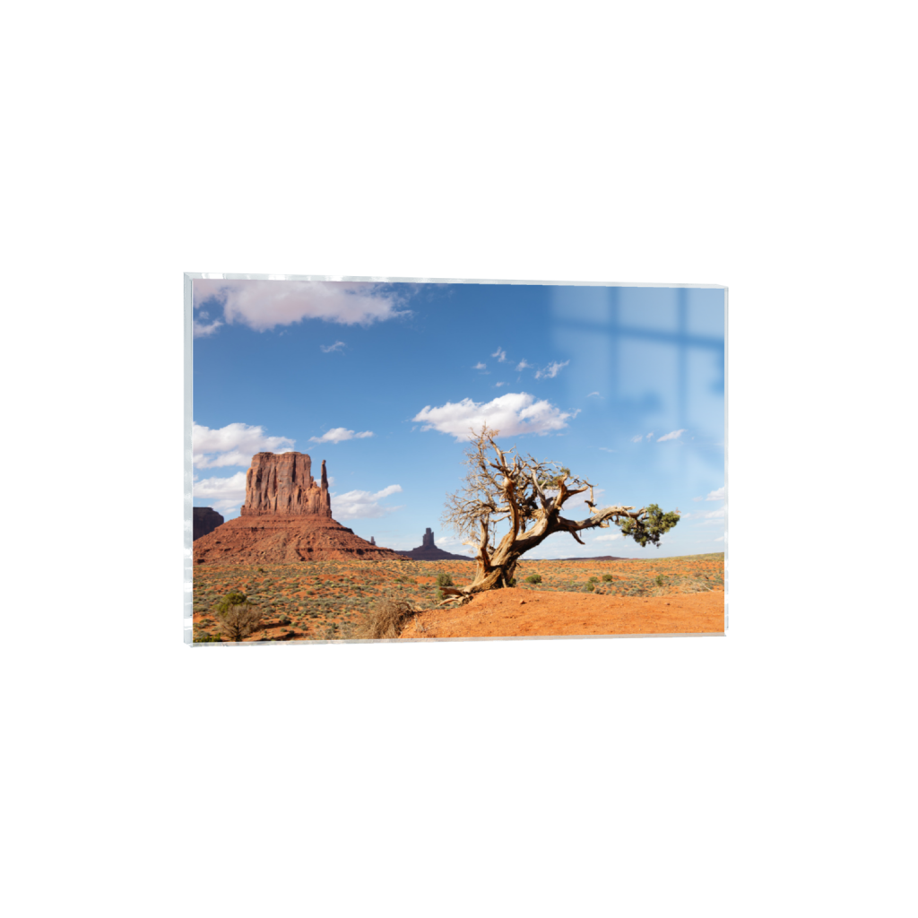 ptq_17_3_0_0_7974_5316_0_false_ffffff_0_0_.png