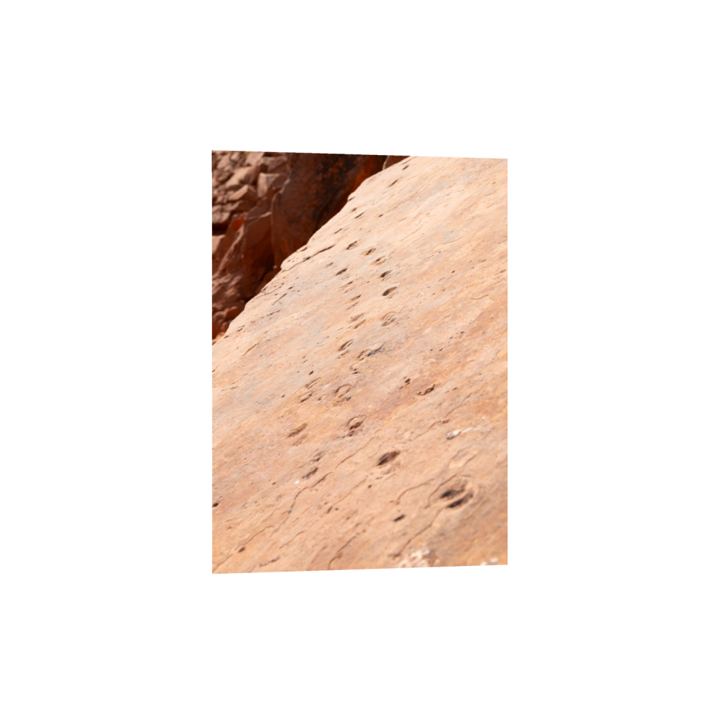 ptq_1_7_0_551_5504_7705_0_false_ffffff_0_0_.png