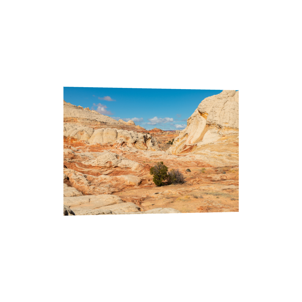ptq_1_7_0_0_7705_5504_0_false_ffffff_0_0_.png