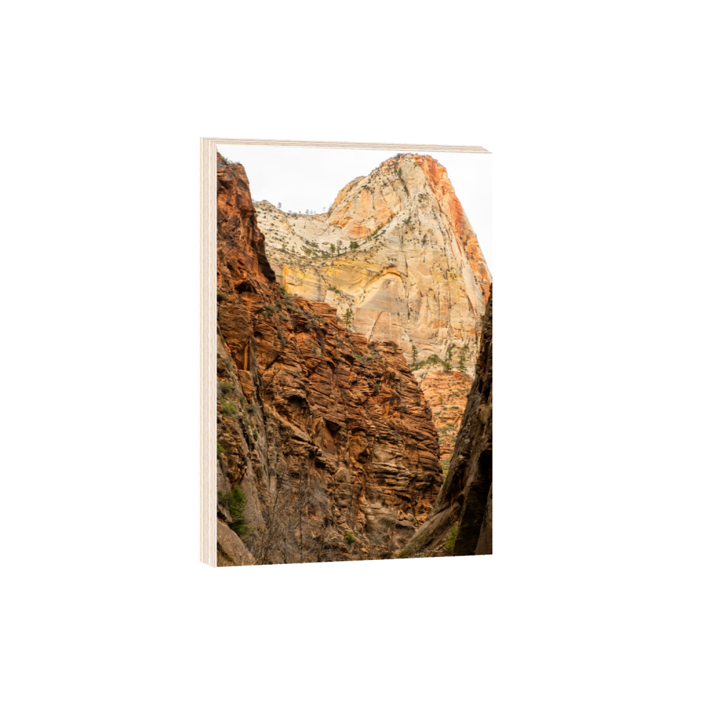 ptq_29_3_0_0_5458_8187_0_false_ffffff_0_0_.png