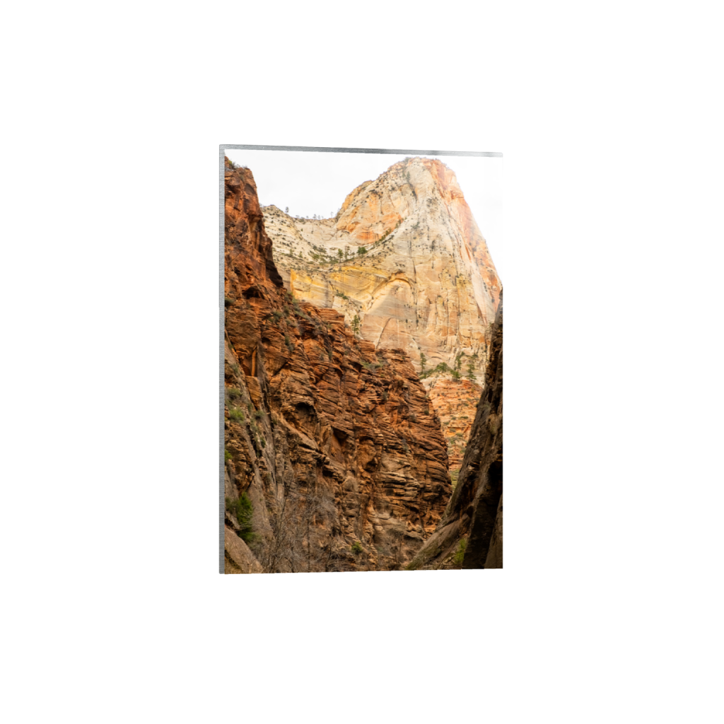ptq_13_3_0_0_5458_8187_0_false_ffffff_0_0_.png