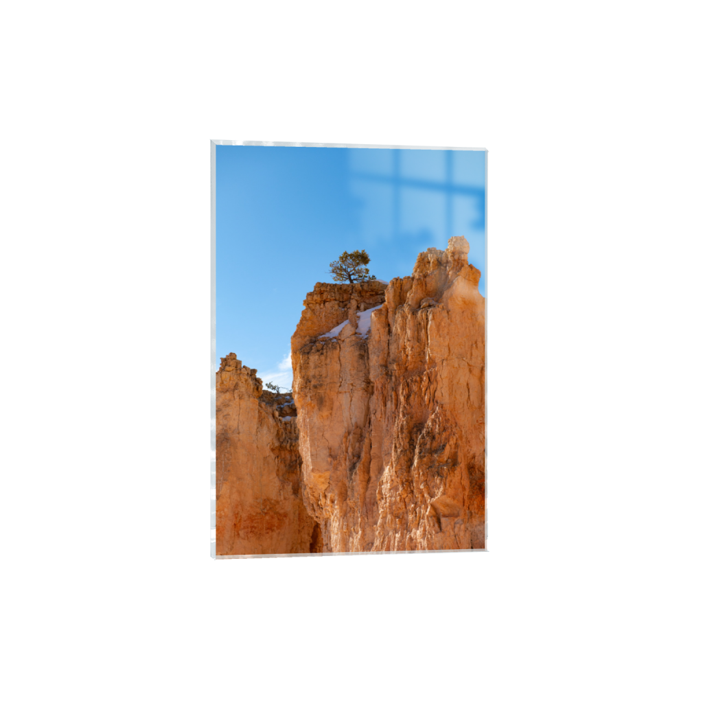 ptq_17_3_0_0_5504_8256_0_false_ffffff_0_0_.png