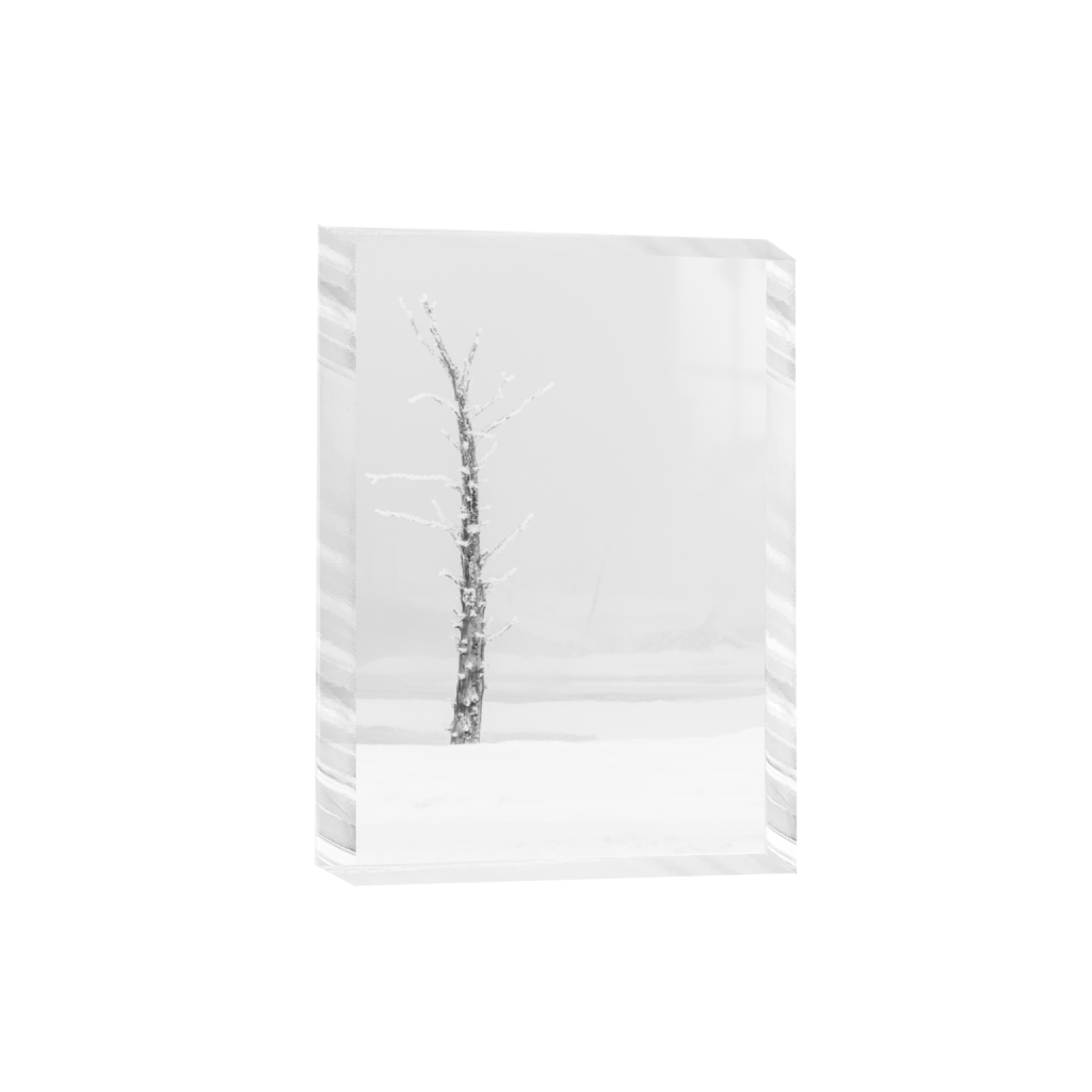 ptq_300_7_0_551_5504_7705_0_false_ffffff_0_0_.png