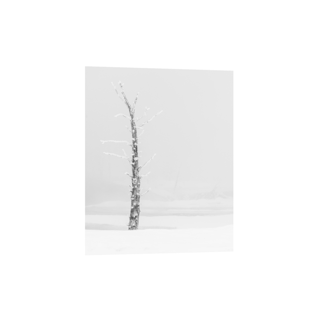 ptq_1_6_0_825_5504_6880_0_false_ffffff_0_0_.png