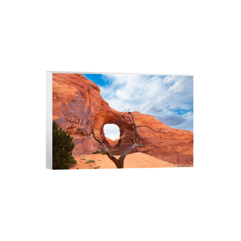 ptq_7_3_0_0_8256_5504_0_false_ffffff_0_0_.png