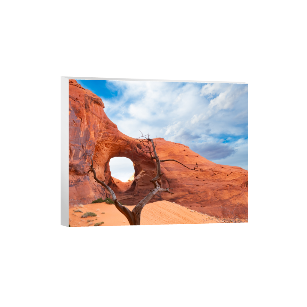 ptq_7_6_1376_0_6880_5504_0_false_ffffff_0_0_.png