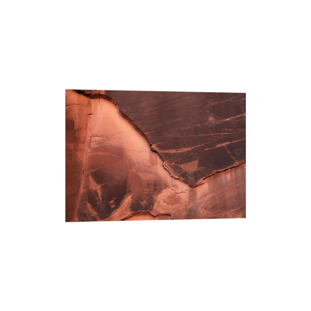 ptq_1_7_0_0_7705_5504_0_false_ffffff_0_0_.png