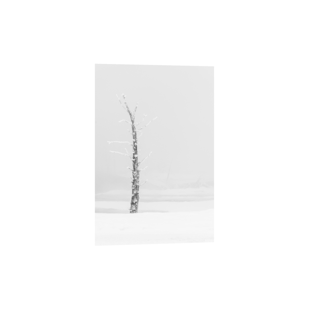 ptq_34_3_0_0_5504_8256_0_false_ffffff_0_0_.png