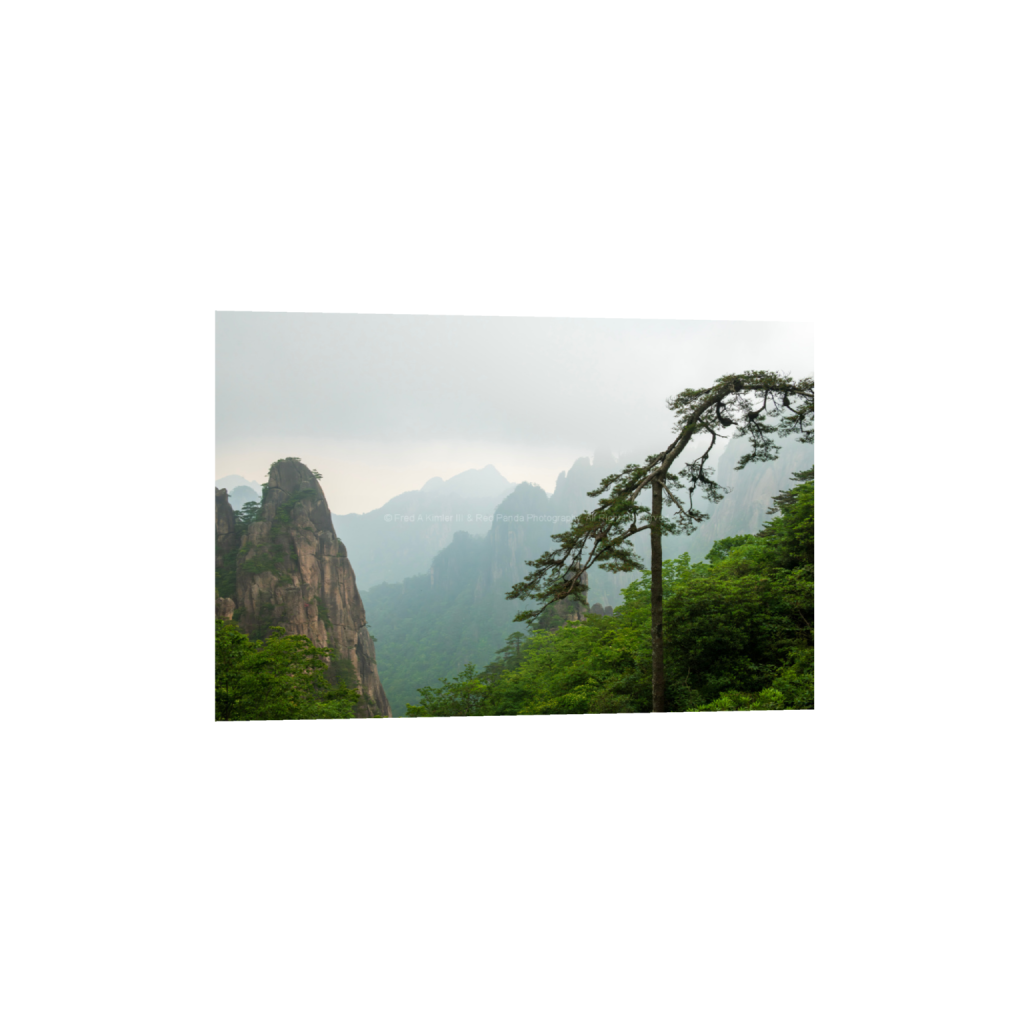 Huangshan #7