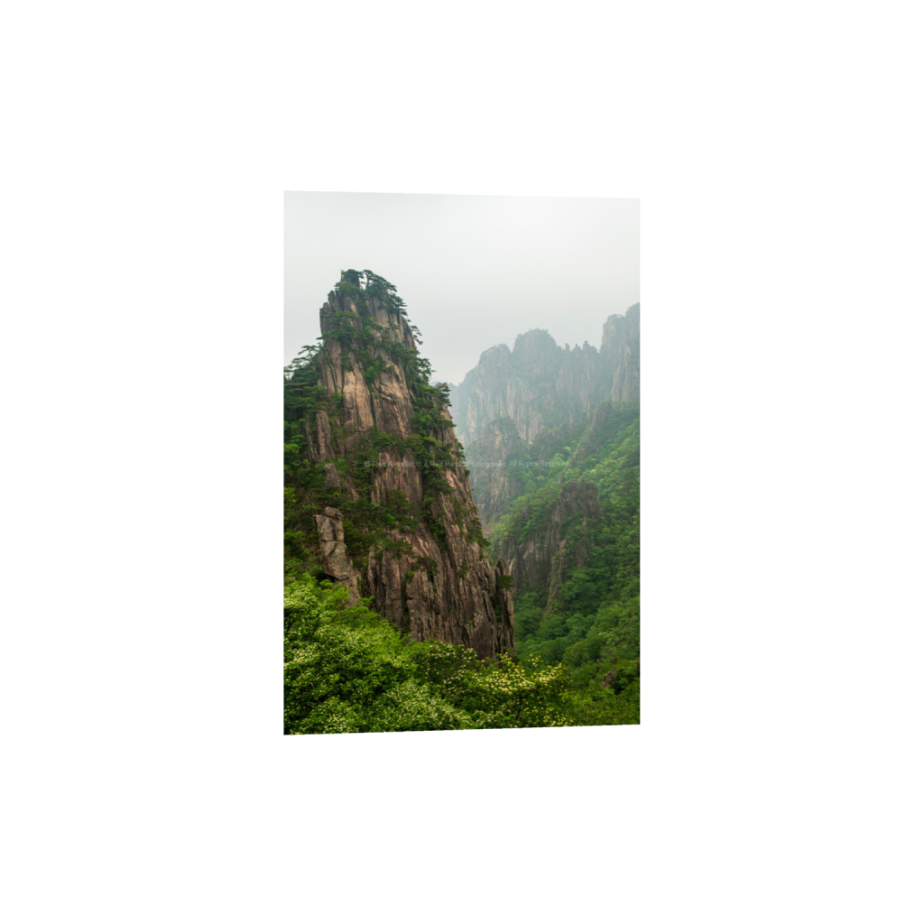 Huangshan #8