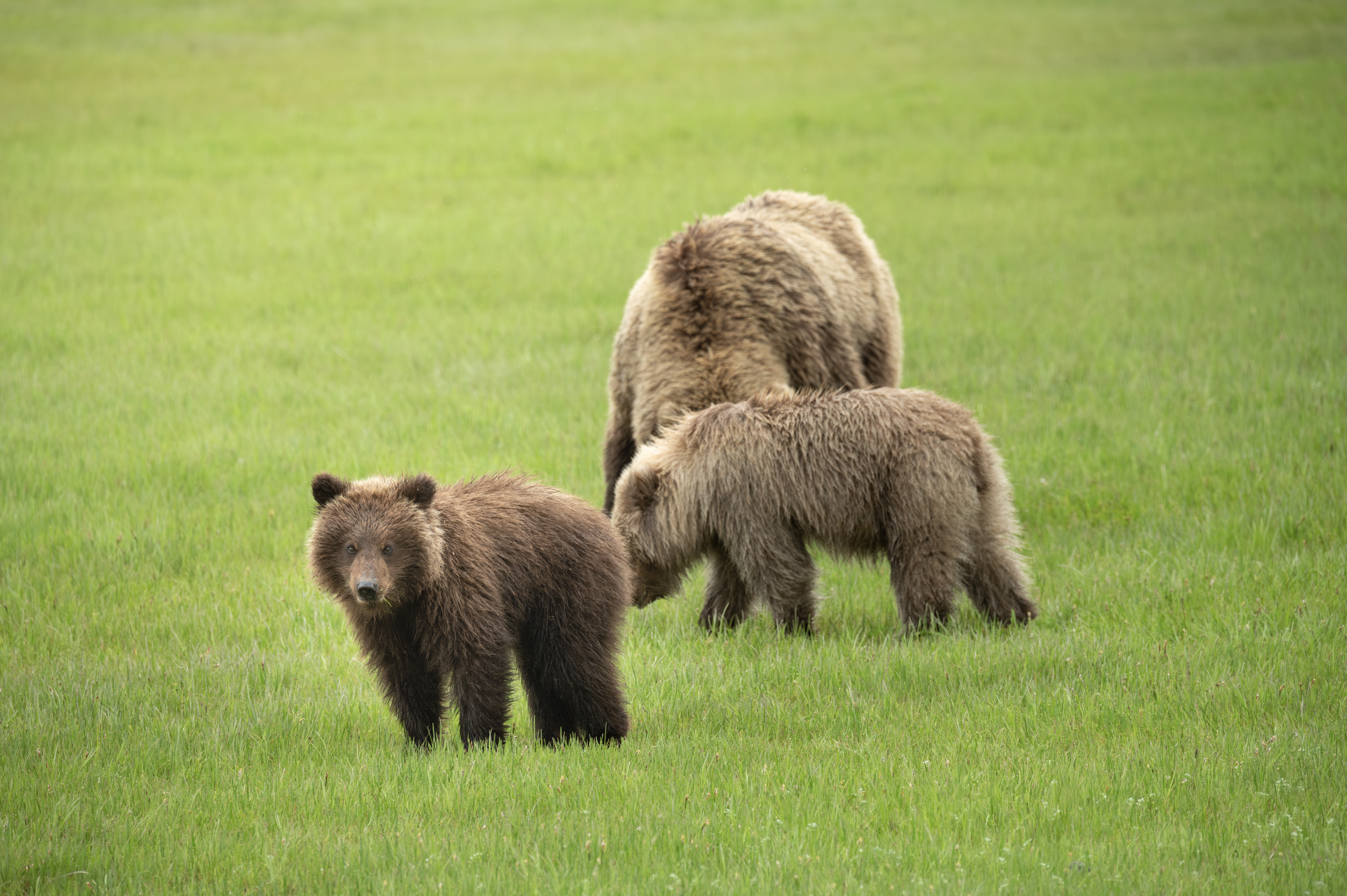 Screenshot 2025-12-13 at 5.43.11 PM.png