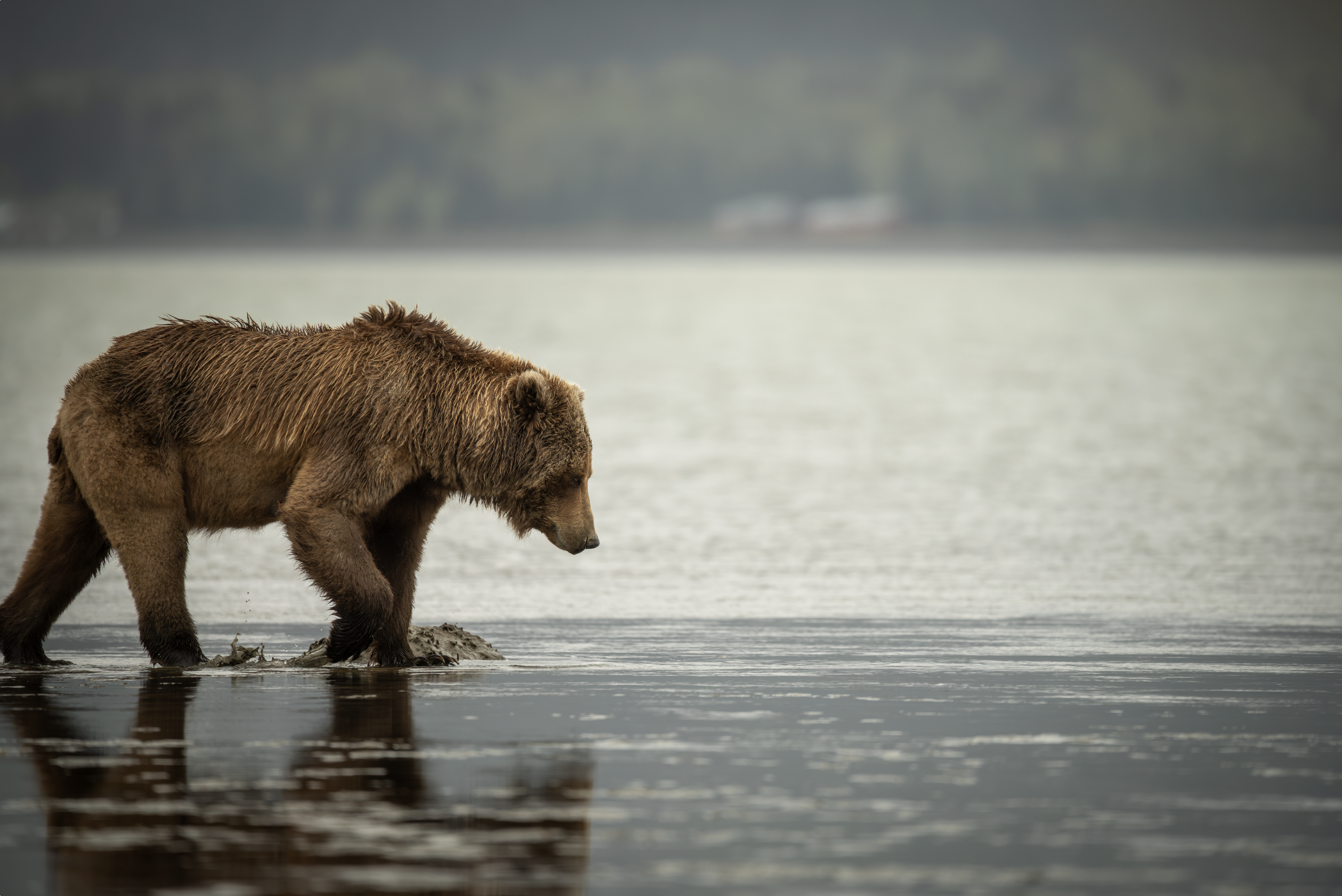 Screenshot 2025-12-13 at 5.25.44 PM.png