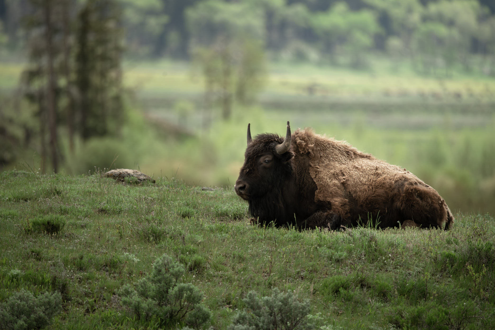 Screenshot 2025-12-13 at 5.25.07 PM.png