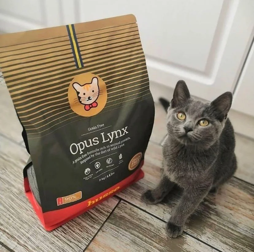 opus lynx Mònica.jpeg