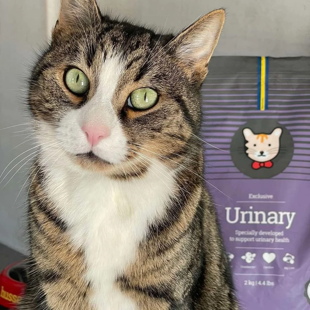 ex urinary Mònica.jpeg