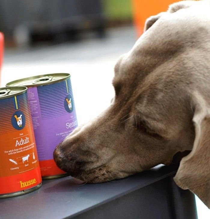 IMAGE 2024-10-26 19:18:21.jpg