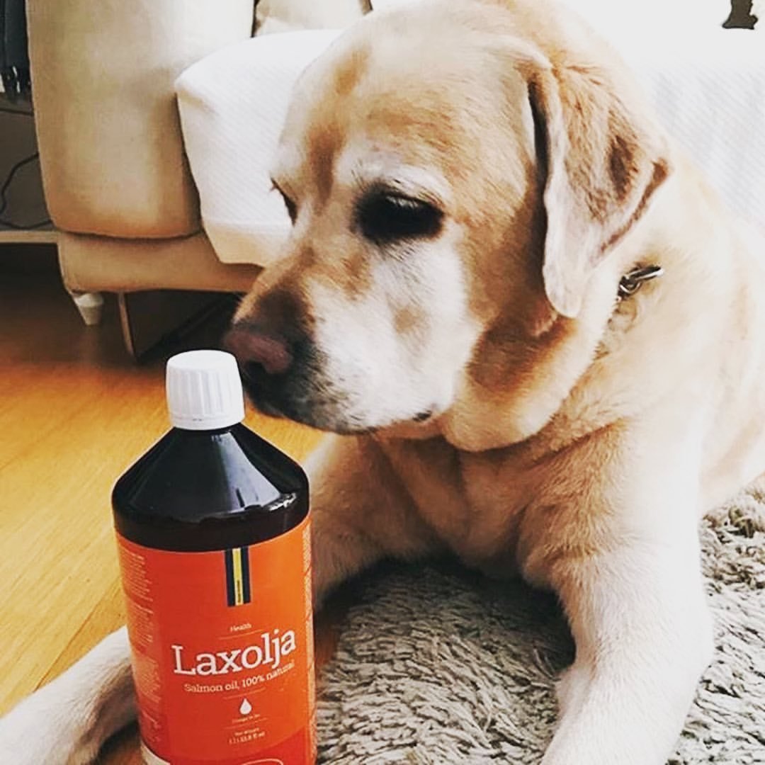 Laxolja Mònica.jpeg