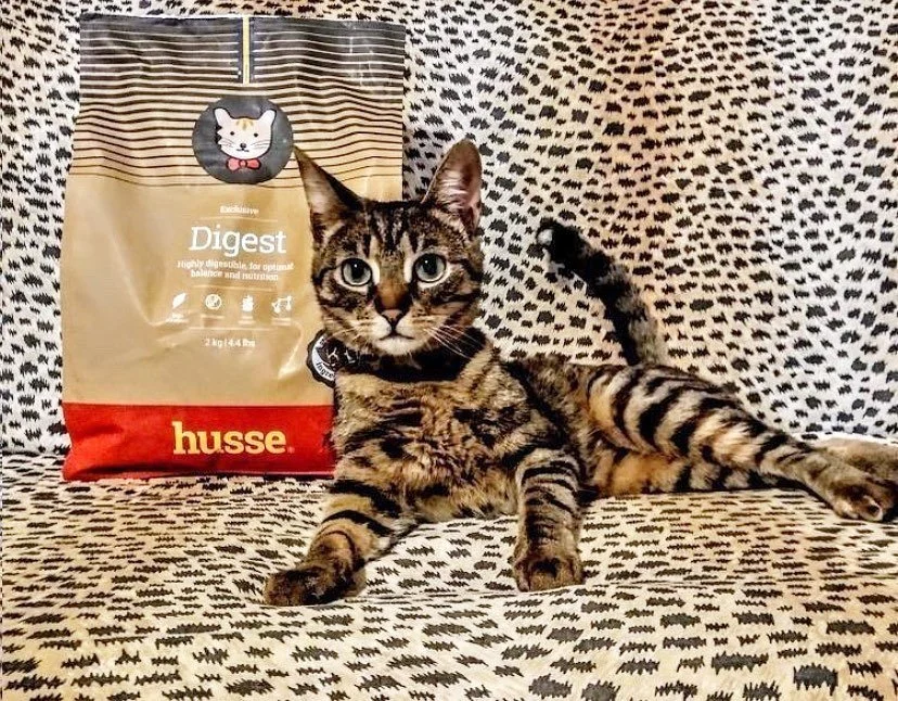 ex digest Mònica.jpeg