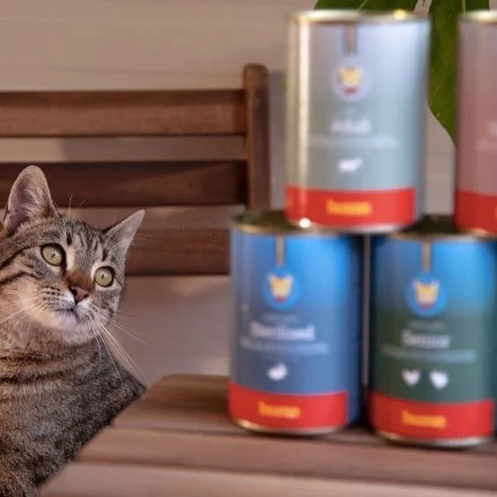 IMAGE 2024-10-26 19:18:18.jpg