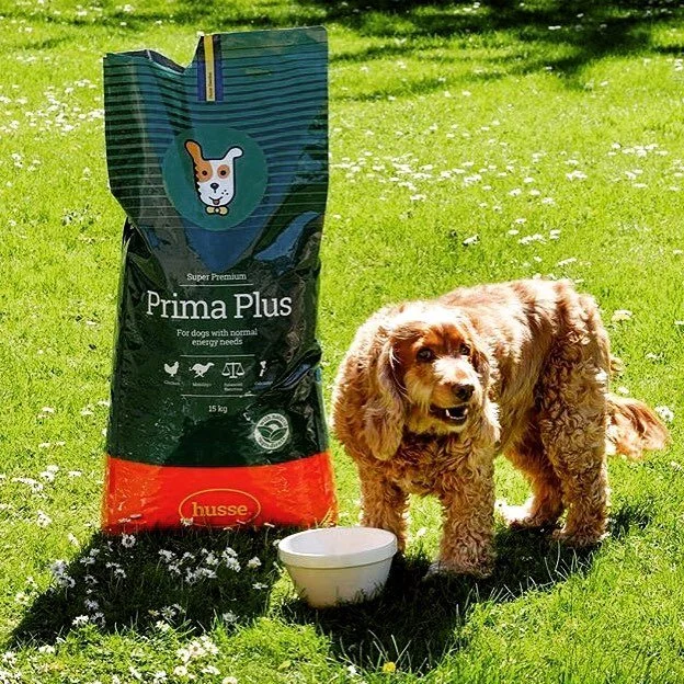 Prima plus Mònica.jpeg