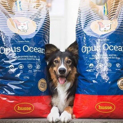 opus ocean Mònica.jpeg