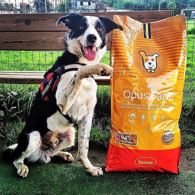 opus farm Mònica.jpeg