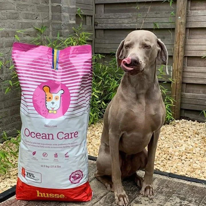 ocean care Mònica.jpeg