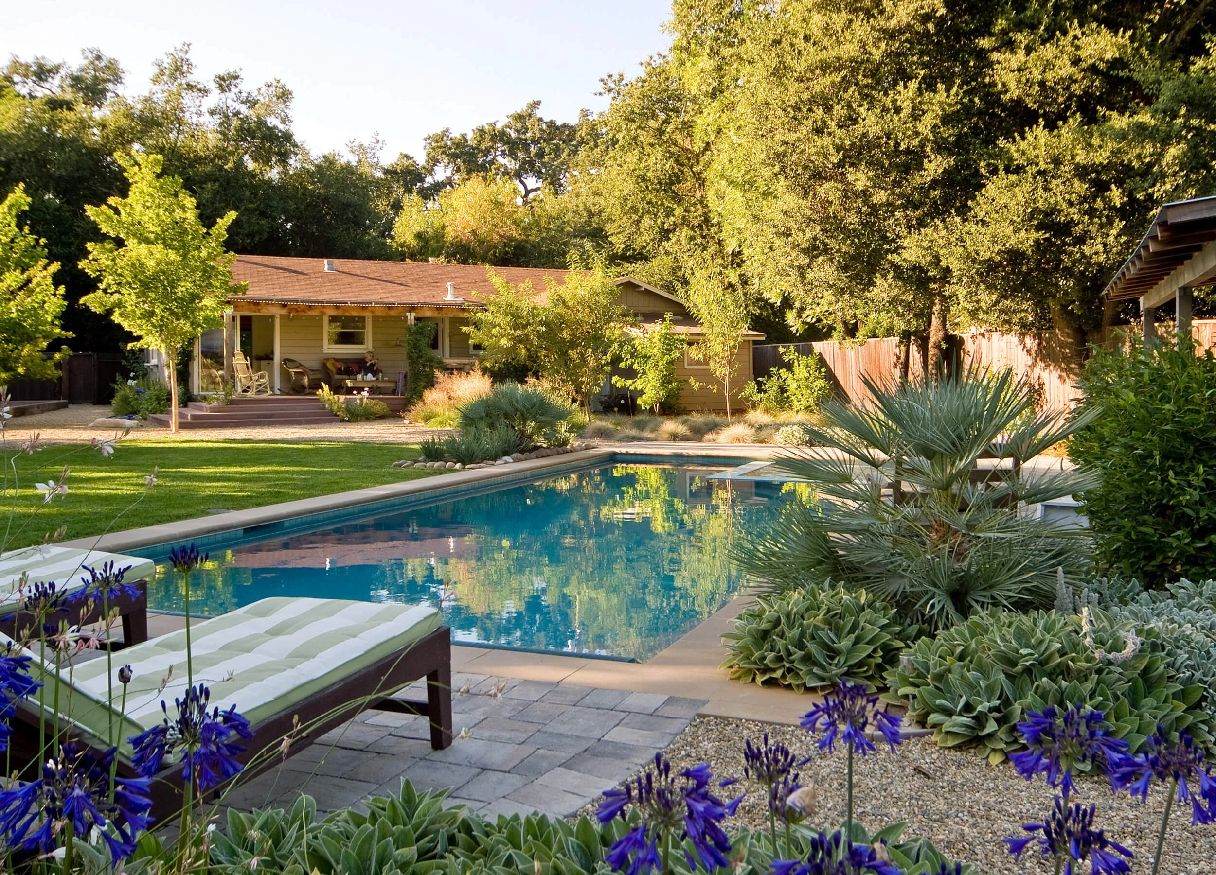 Image of backyard pool with chaise, lawn, trees, and residence in background