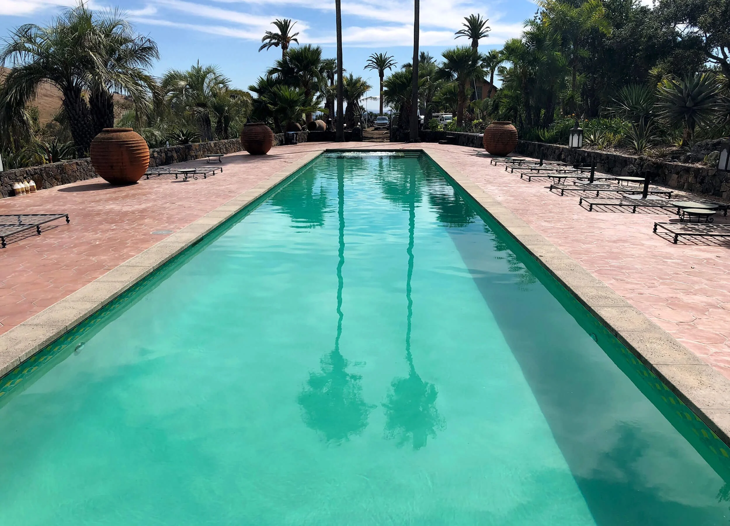 Photo of client swimming pool flanked with concrete patio and palm trees
