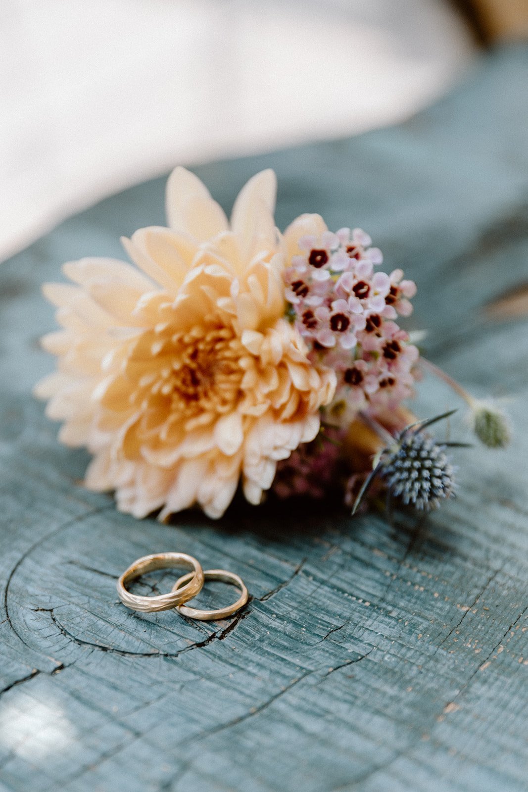 2024_Alice_Ale_Wedding-52_websize.jpg