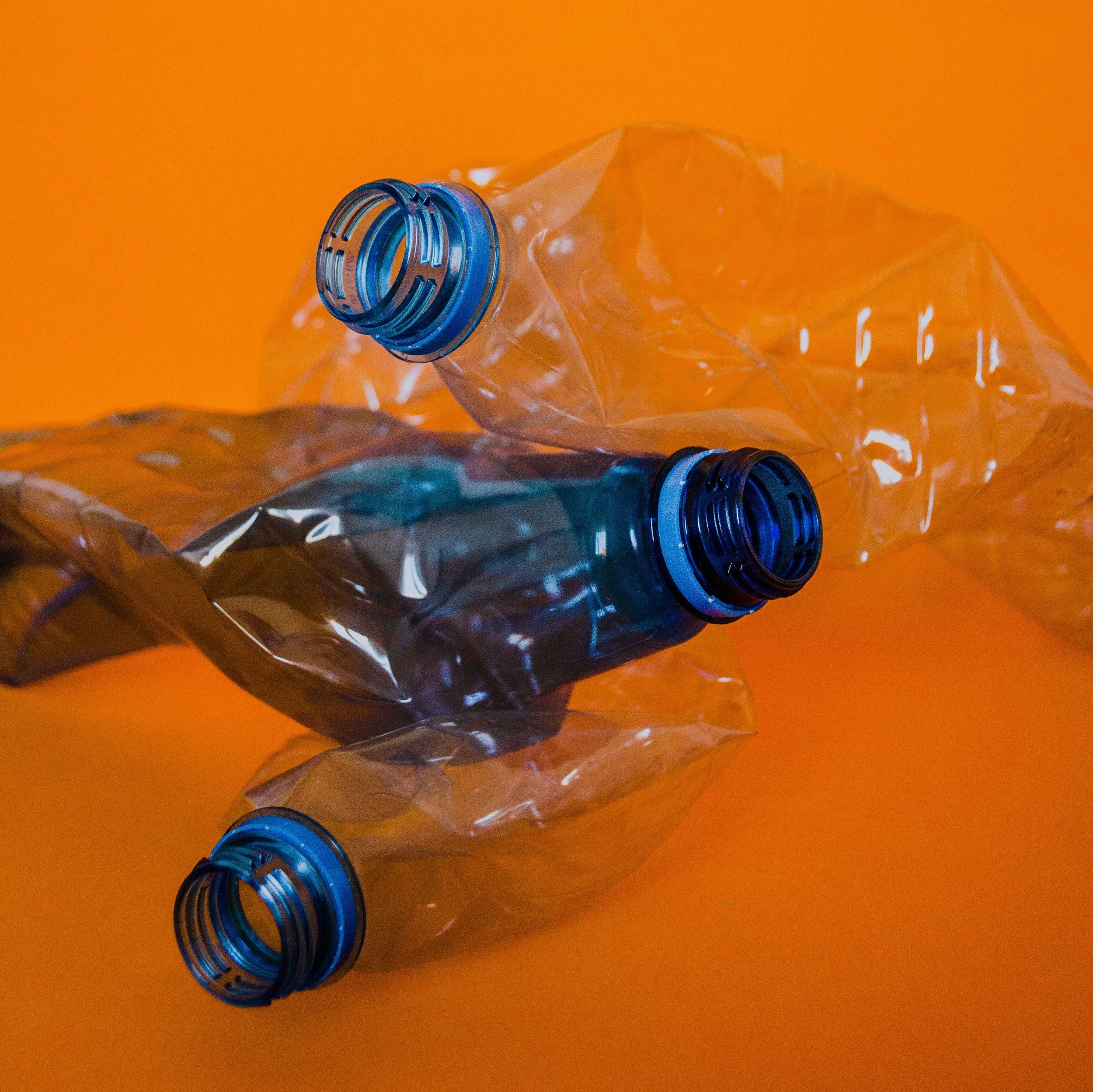 SB 343: California’s Truth in Labeling Law