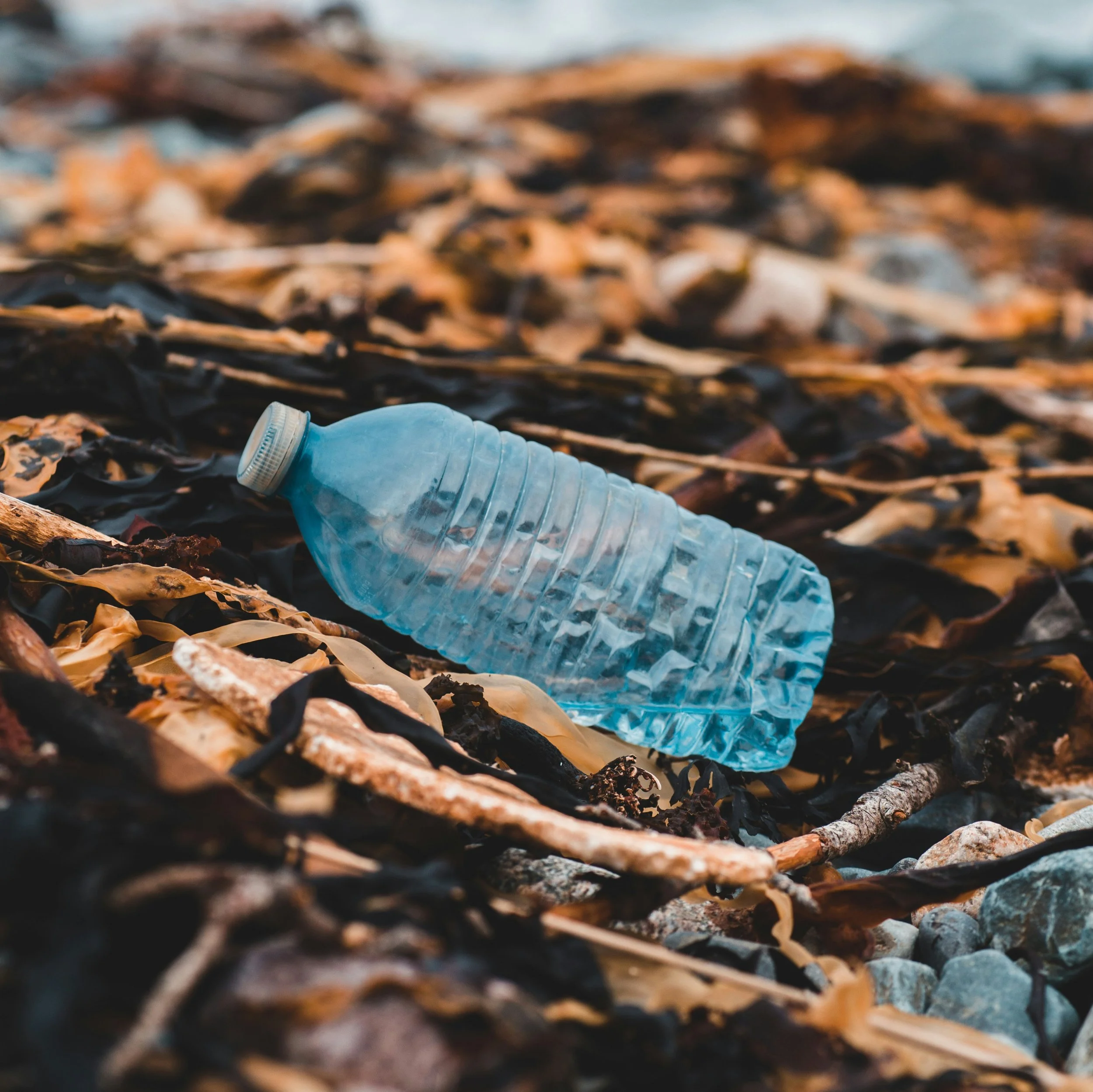 Plastic water bottle on dirt background