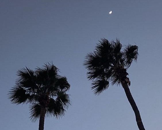 An Island Lullaby