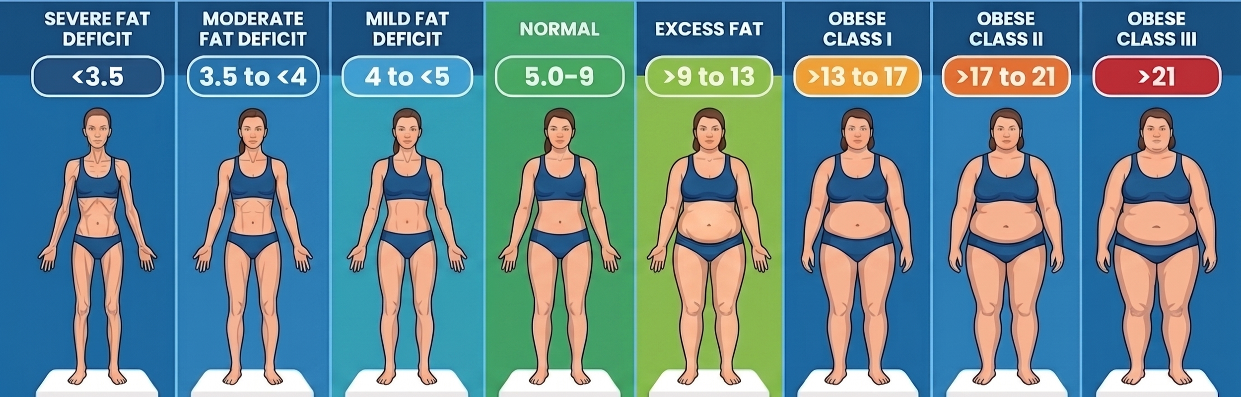 An educational reference chart showing Fat Mass Index (FMI) classifications, ranging from low fat mass to superior high fat mass for women