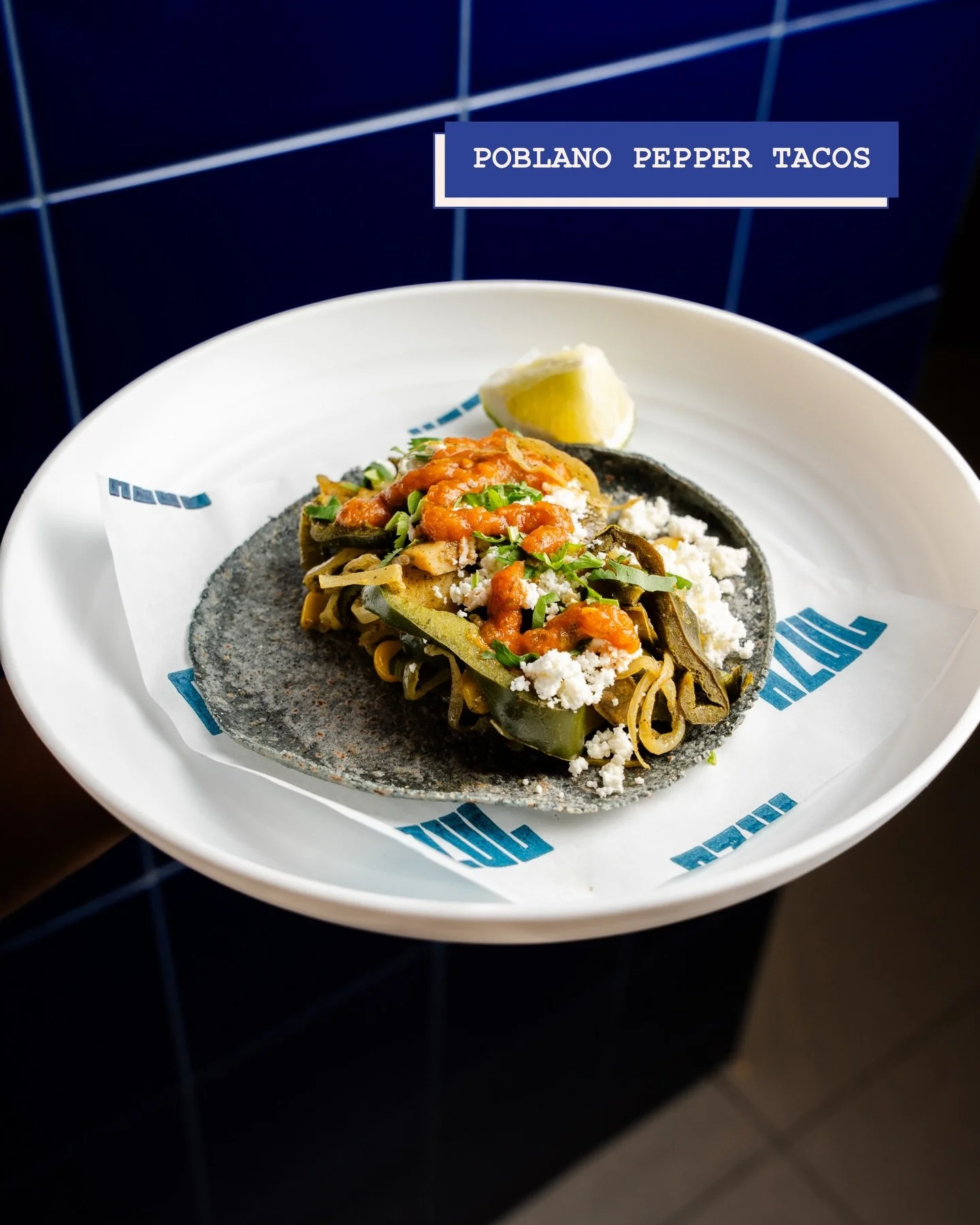 Veggie-forward tacos that even a meat lover can&rsquo;t resist.

Vegetarian and vegan options available at both locations.
&bull;
#toronto #torontoeats #mexicanfood #vegetariantacos #vegantacos