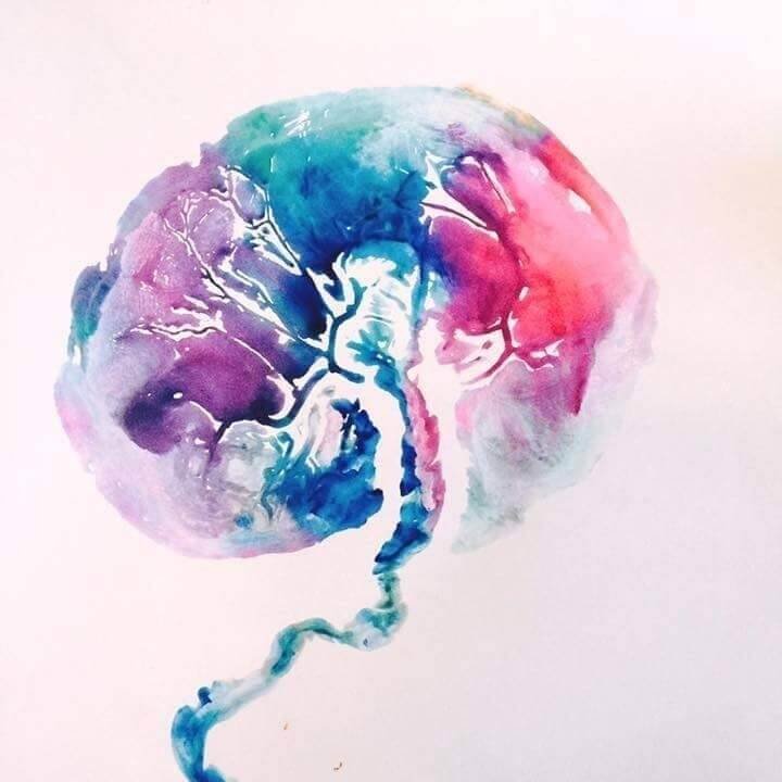 Watercolor+Placenta+Print+Guam.jpg