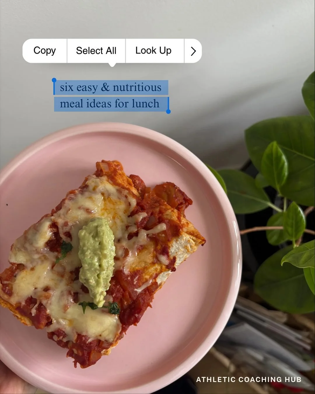 told you the plates would inspire a post!! 

-
-
-
#healthymealprep #nutrition #lunchinspo #lunch #mealidea #mealinspiration #sandwich #highprotein #sport #health #dinner #homemadepizza #athlete #highschoolathlete