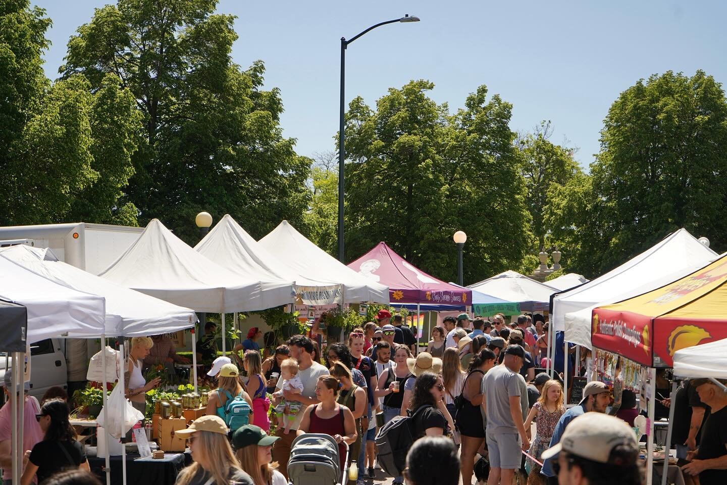 ➡️ for reds, breads, blooms and shrooms. It&rsquo;s finally farmers market season! Head to @cityparkfarmersmarket starting THIS SATURDAY for seasonal produce, flowers, meats, cheeses and more - this market is 100% local and growers-focused, meaning t