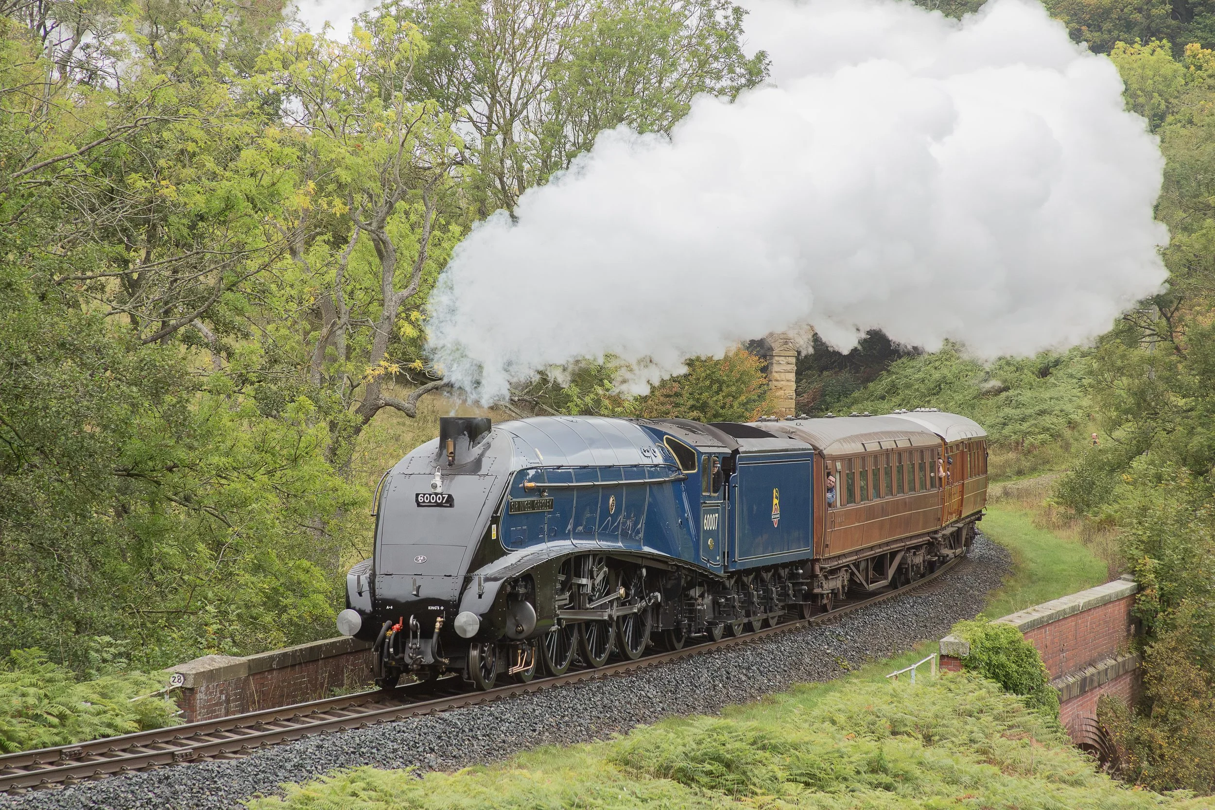 Steam Gala 2026