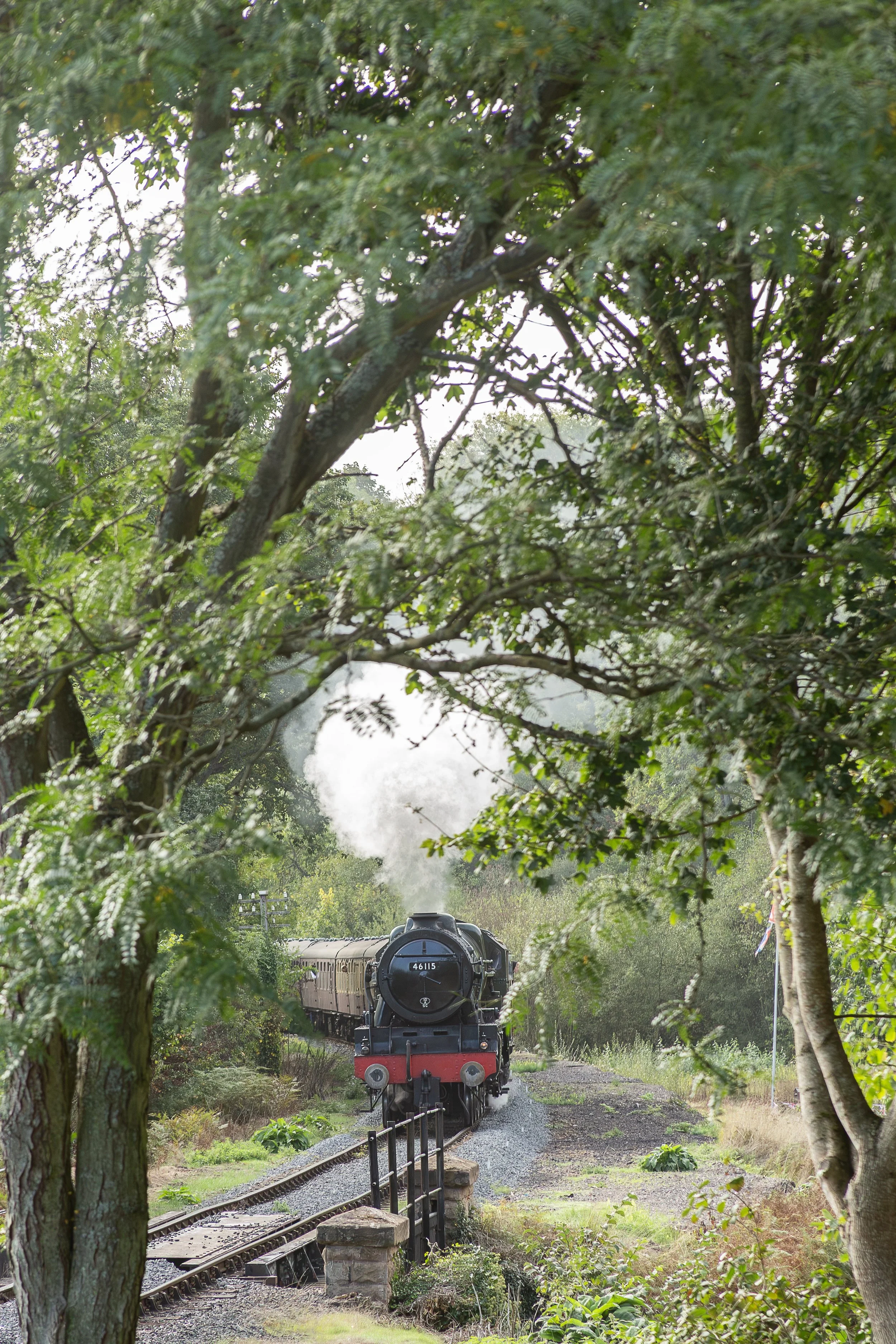 46115 Scots Guardsman