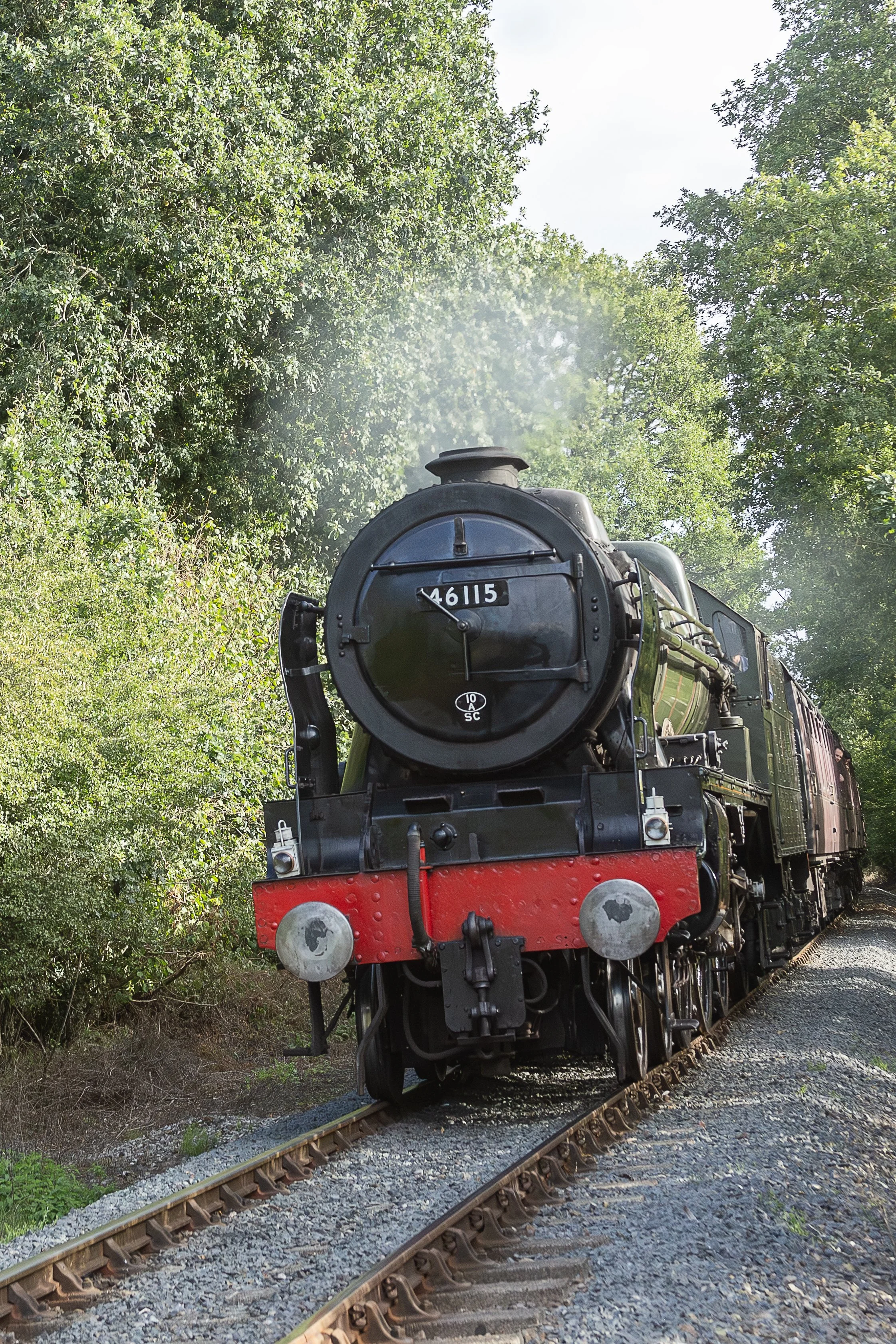 46115 Scots Guardsman