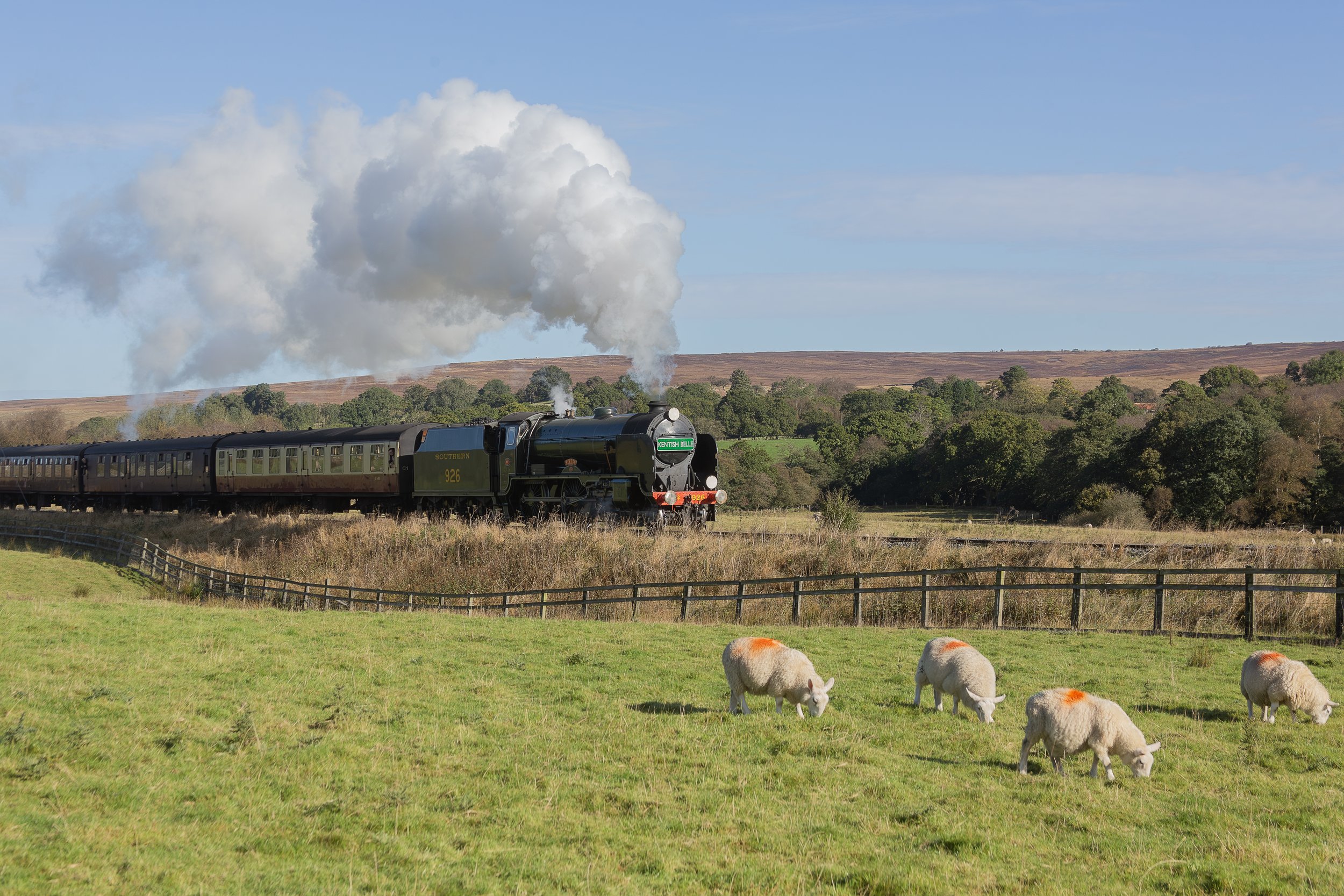 SR No. 926 “Repton“