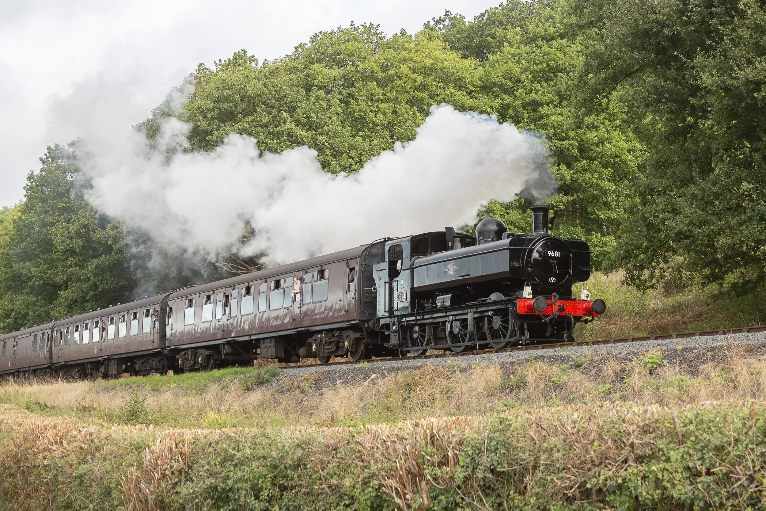 Pannier Tank 9681