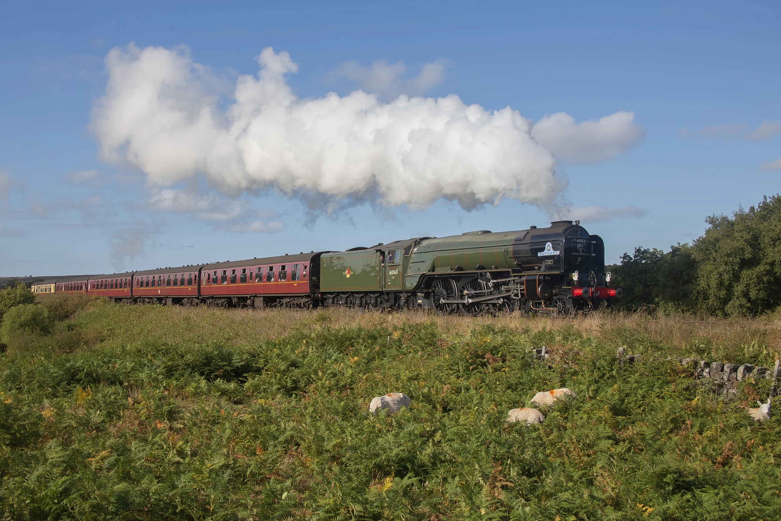 LNER Peppercorn Class A1 60163 Tornado