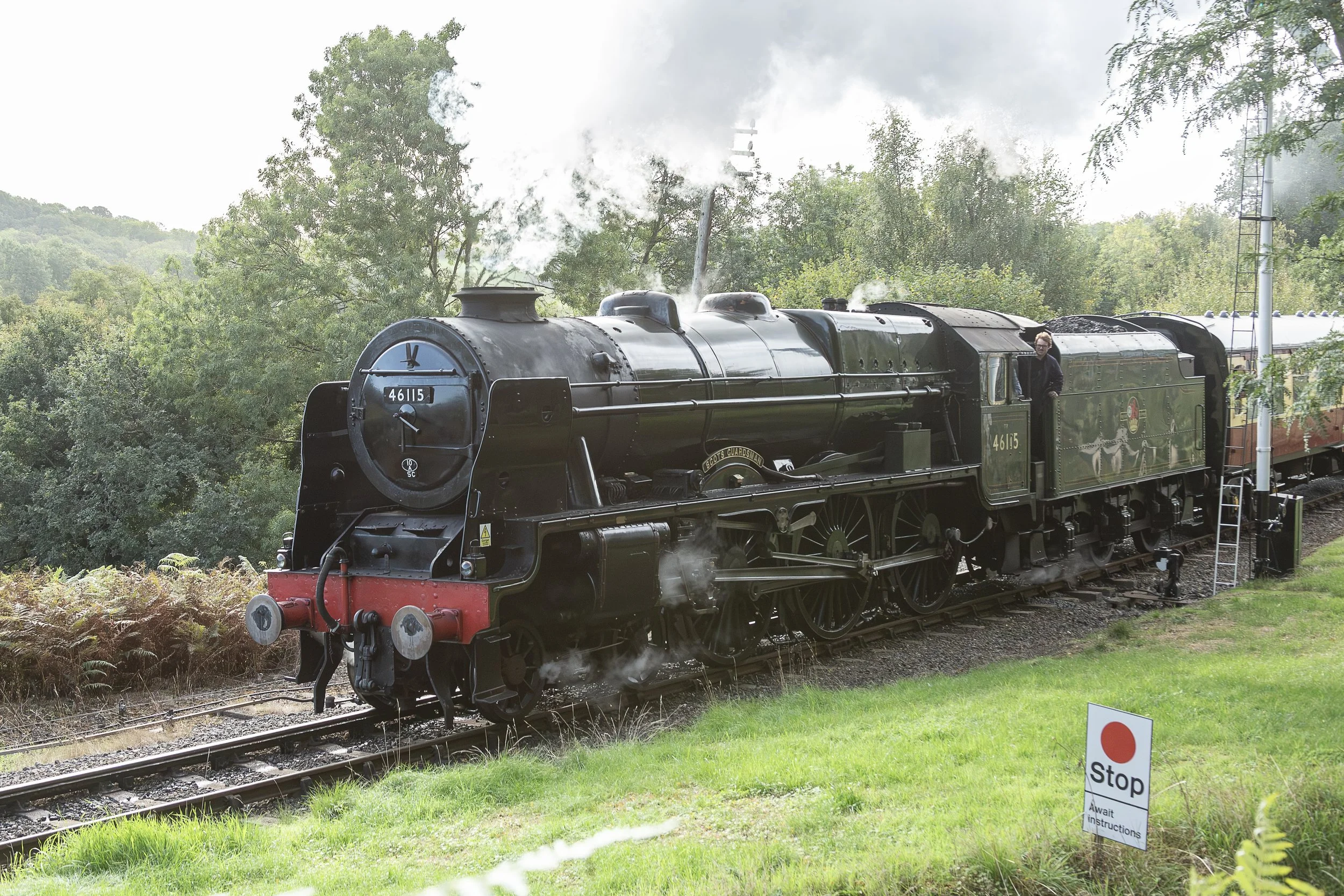 46115 Scots Guardsman