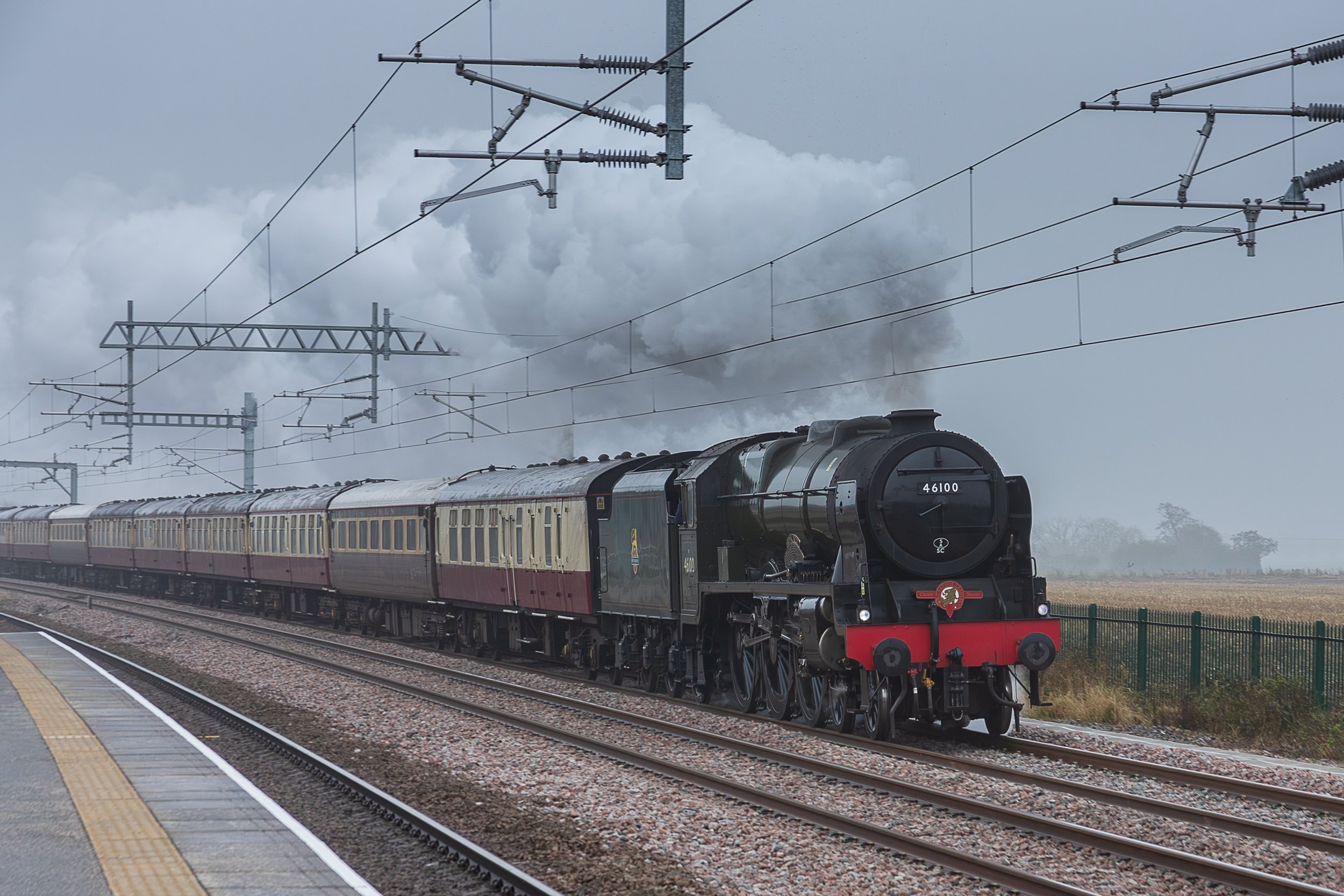 Royal Scot 46100 "The Christmas White Rose"
